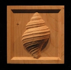 Corner Block - Spiral Shell