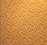 Textured Panel #10