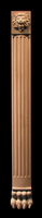 Column, Pilaster - Lion Accents