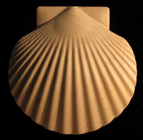 Onlay - Scallop Shell