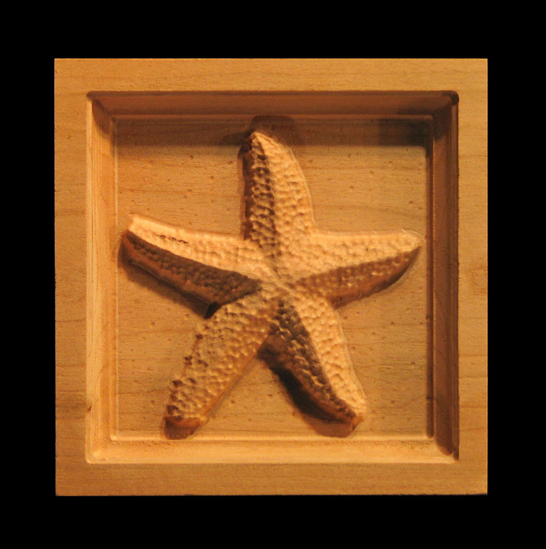 Corner Block - Starfish