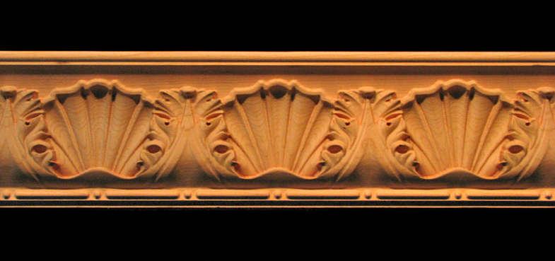 Moulding - Large - Acanthus w Shell
