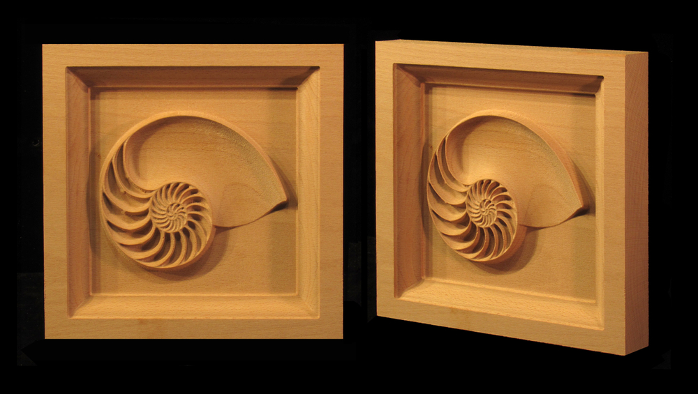 Nautilus Shell Corner Block | Tropical , Shells, Flowers and Nature Corner Blocks