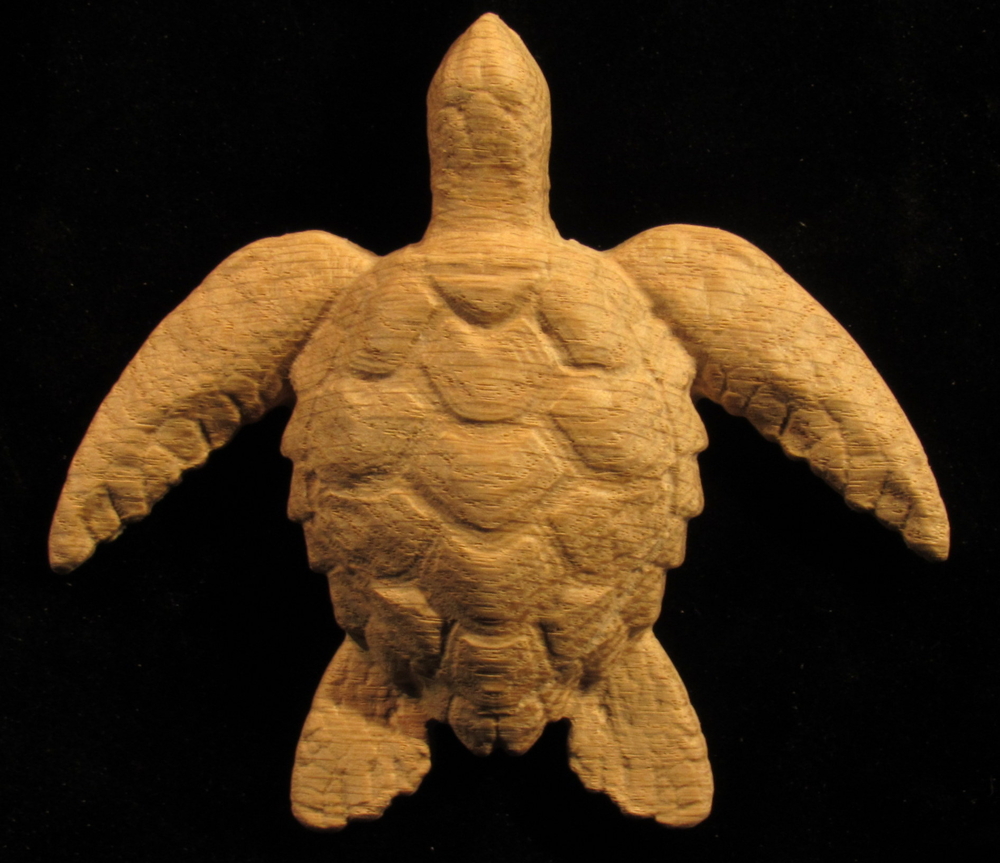Onlay - Sea Turtle
