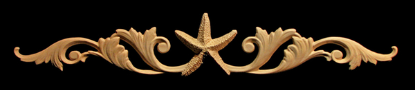 Image Onlay - Wide - Starfish w Scrolls