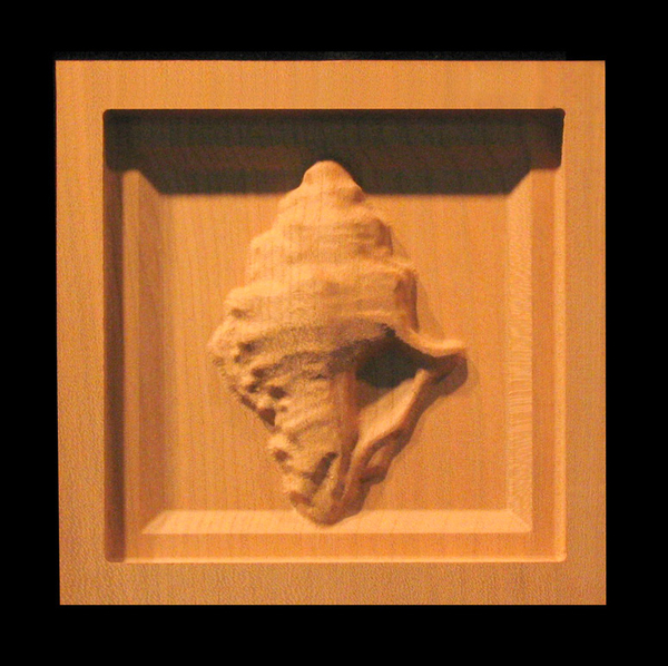 Image Corner Block - Conch Shell