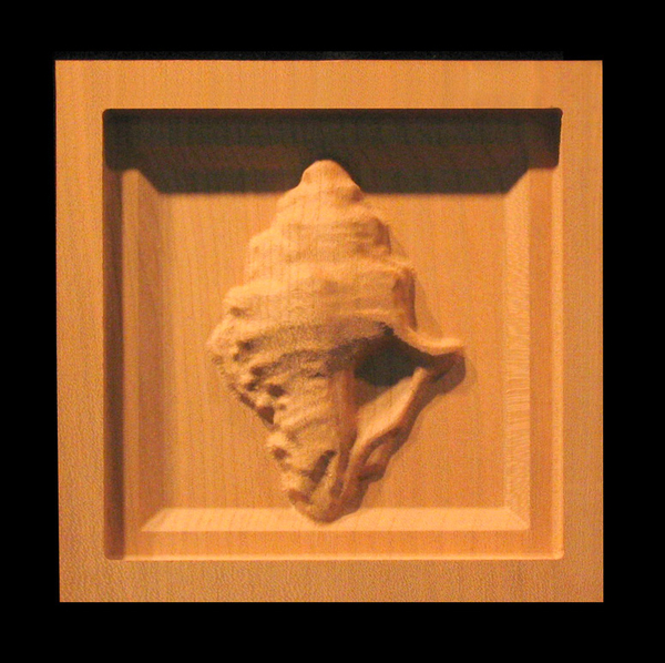 Block - Conch Shell carved wood