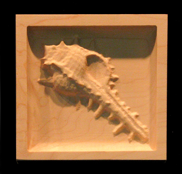 Block - Murex Shell carved wood