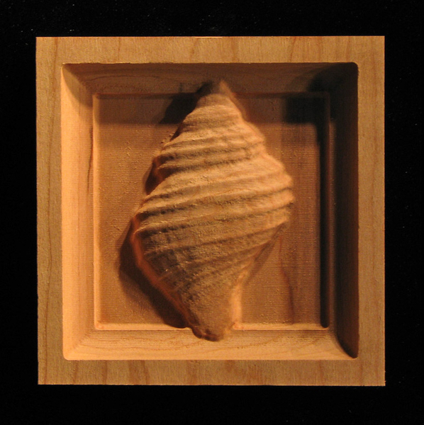 Block - Spiral Shell carved wood