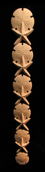 Onlay - Starfish and Sand Dollar Carved Wood