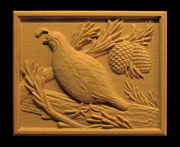 Image Quail Panel