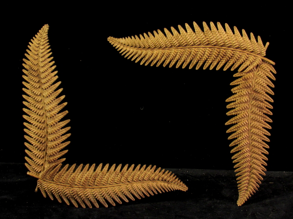 Image Sword Ferns - Corner Onlays
