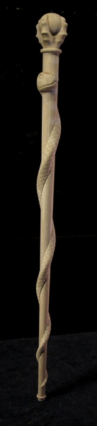 Image Claw Foot with Snake Walking Cane